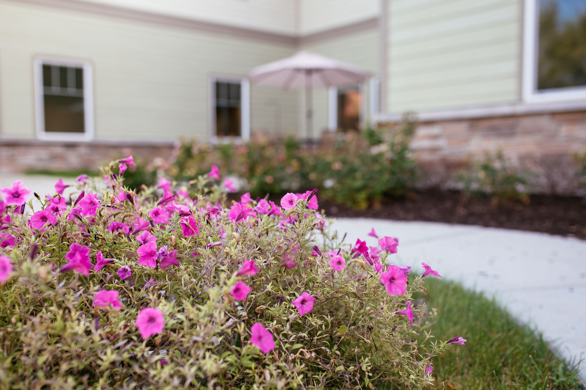 Neighborhoods of White Lake Exterior